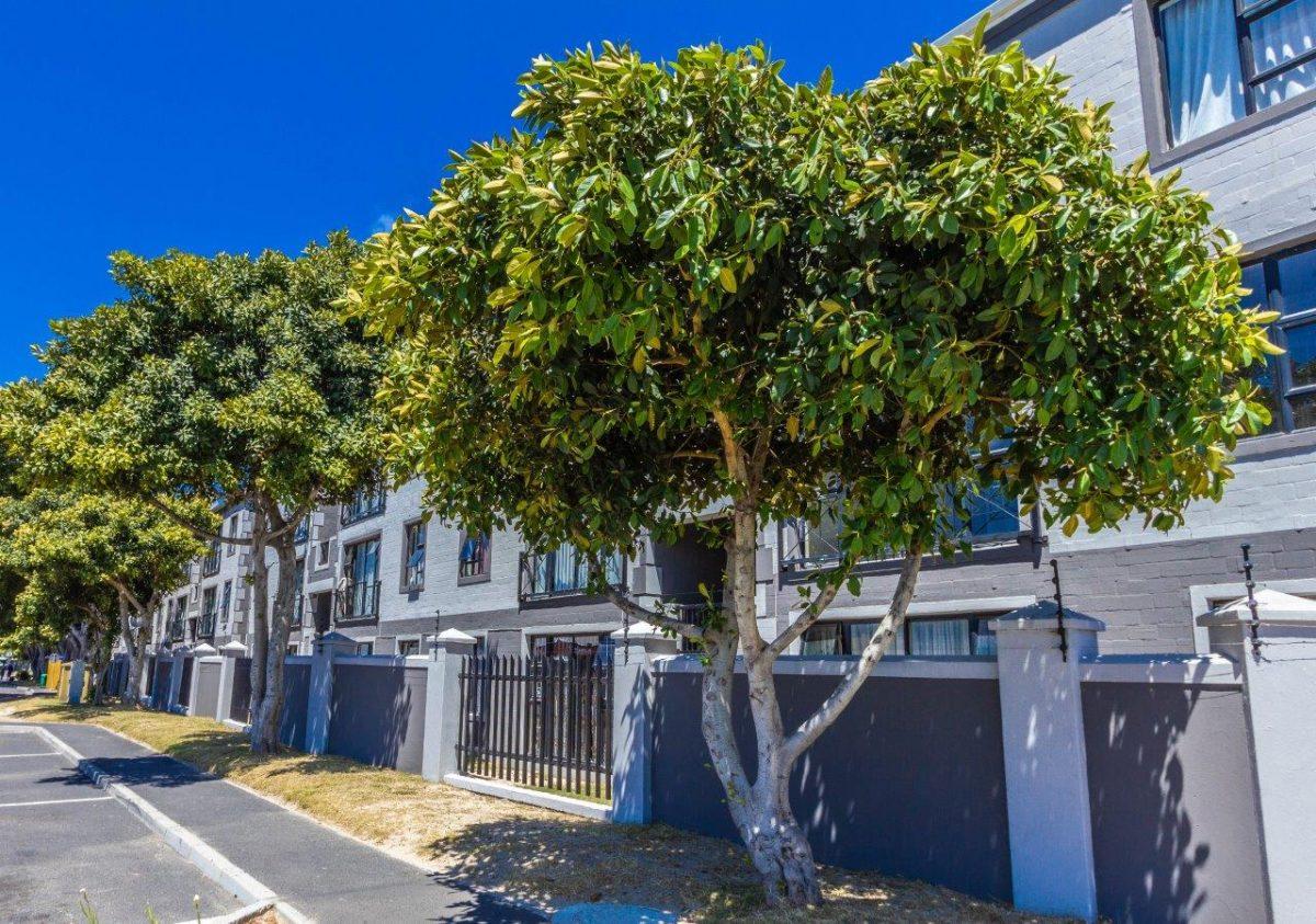 35 Park Avenue, Parklands Talk to Trevor Property Group