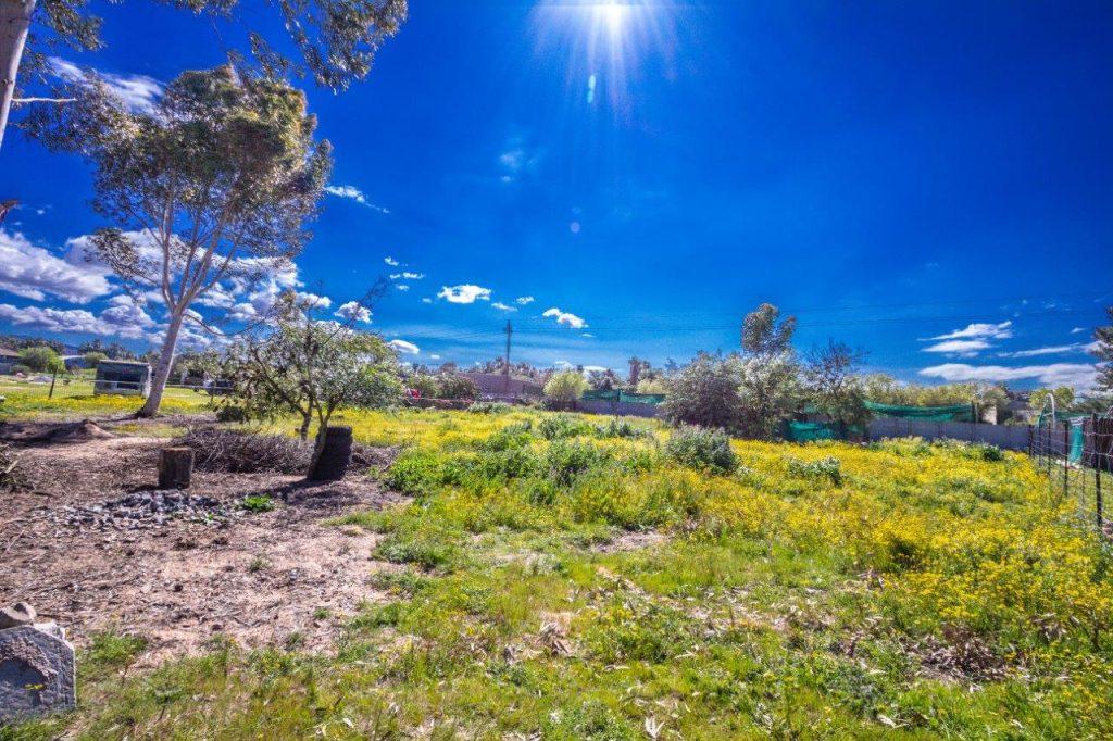 PRICE INSANITY: SOUGHT AFTER RANCH LAND - JUST R 650 000